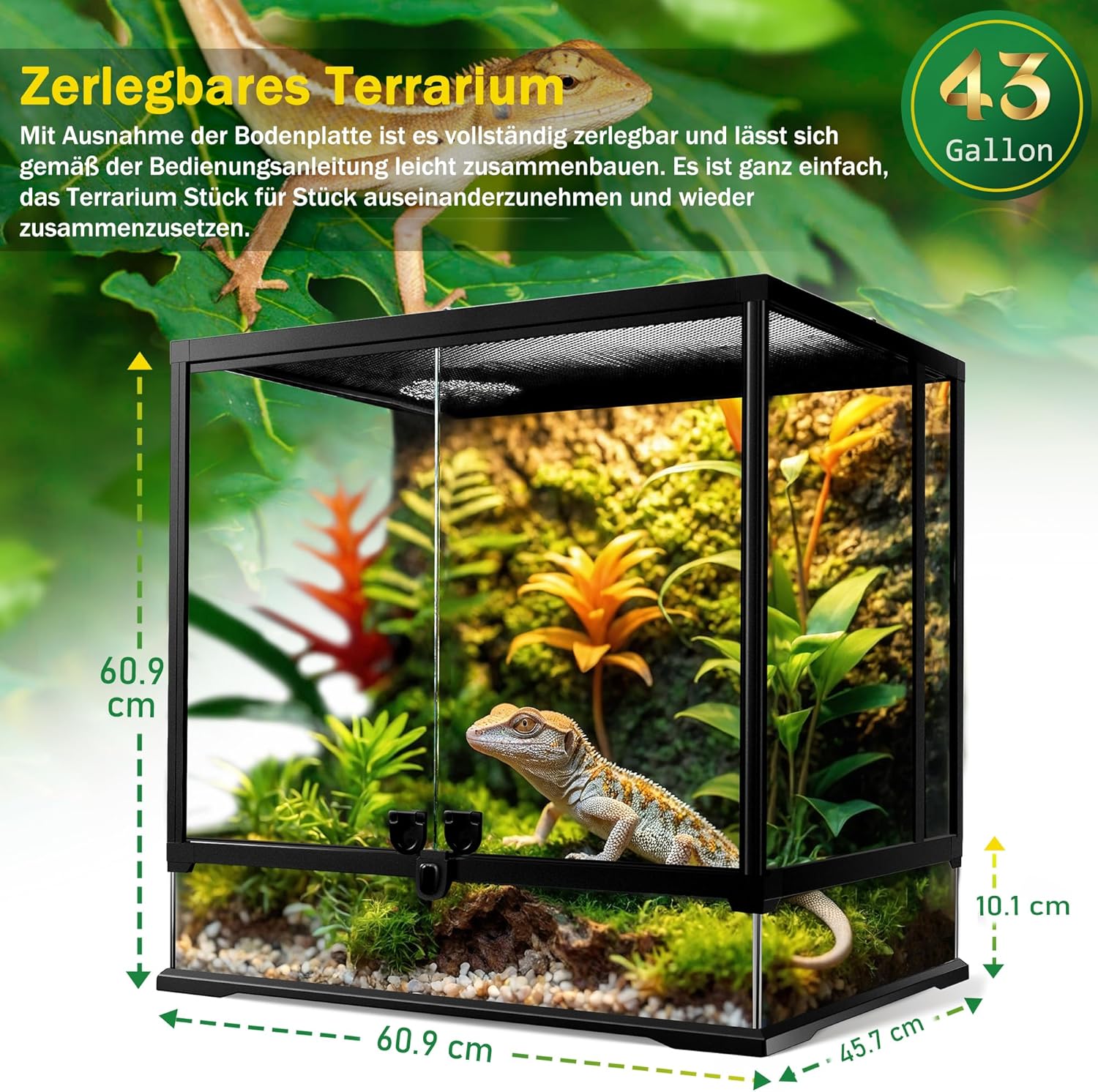 NEPTONION Glasterrarium - Bild 2