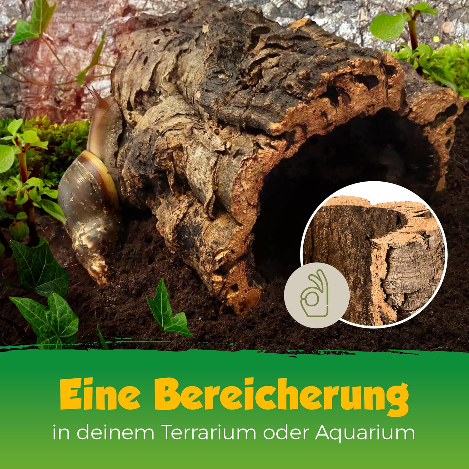 Kork-Deko Terrarium - Bild 3