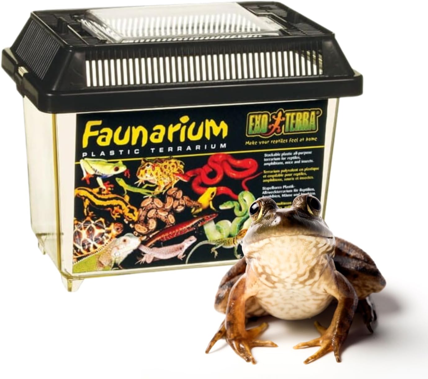 Exo Terra Faunarium - Bild 5