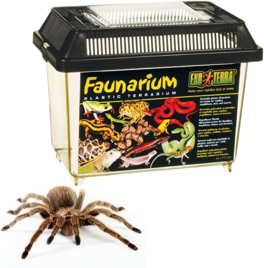 Exo Terra Faunarium