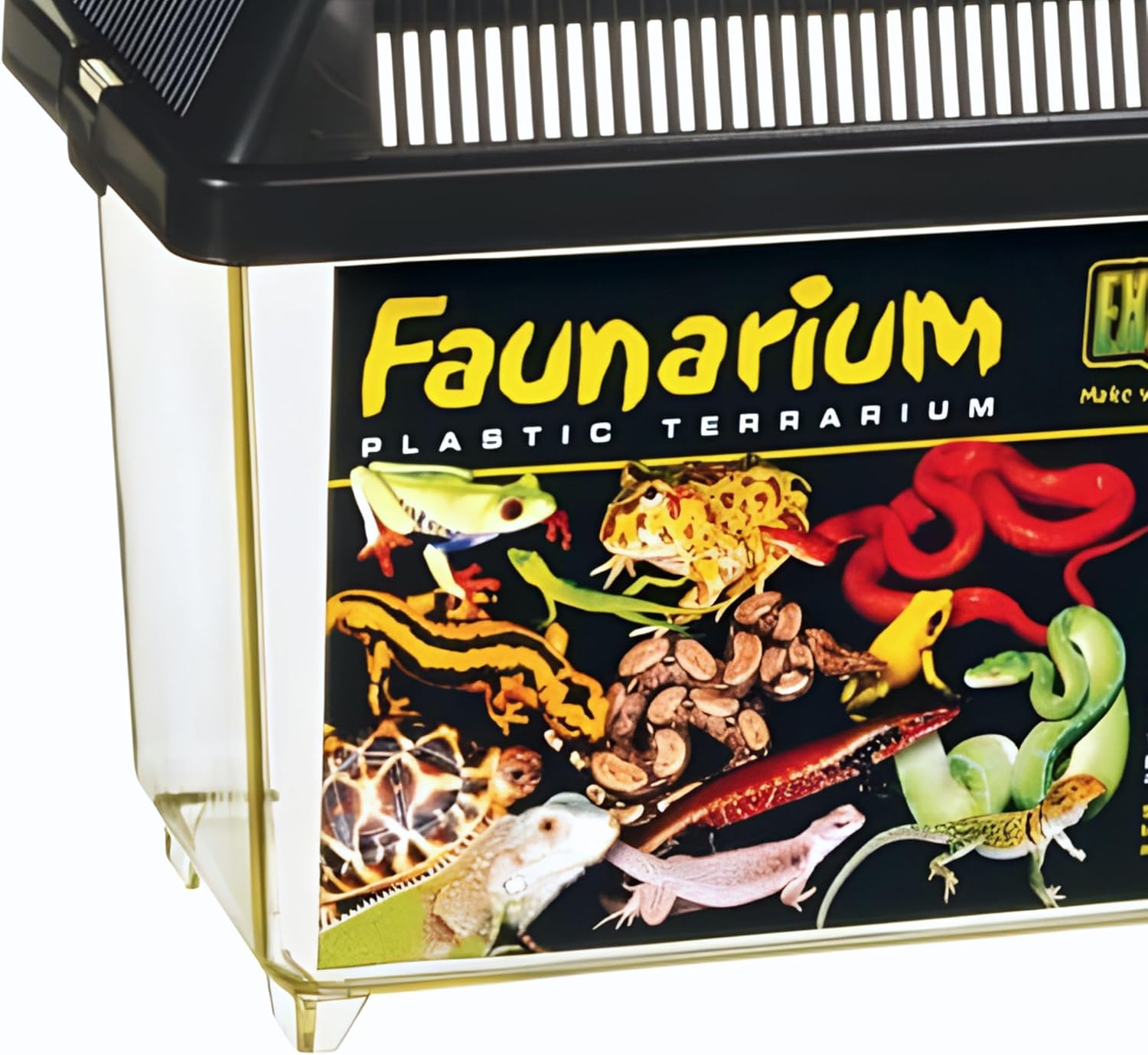 Exo Terra Faunarium - Bild 3