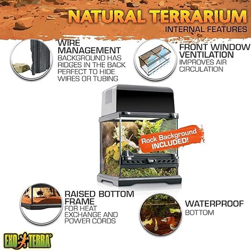Exo Terrarium aus Glas - Bild 2