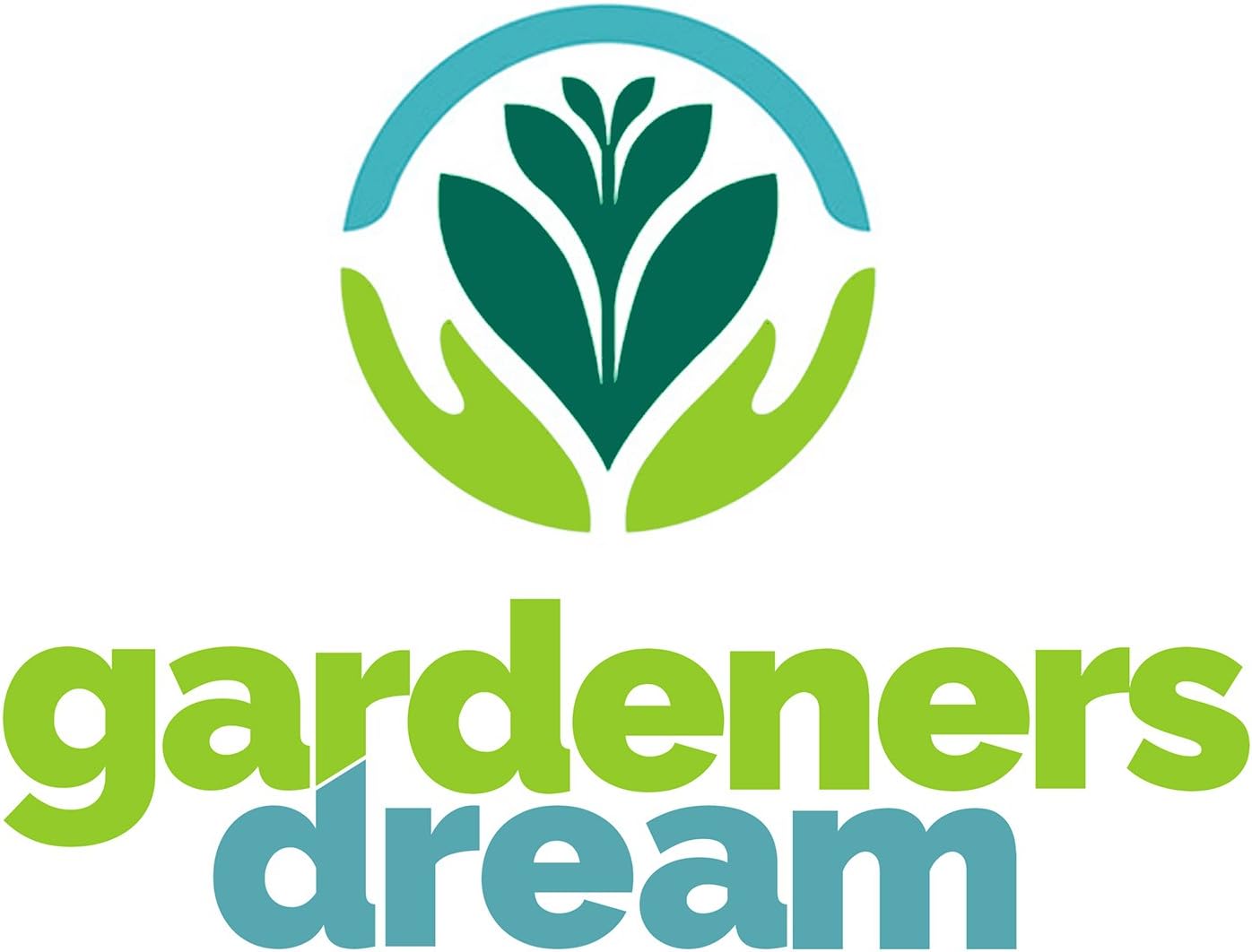GardenersDream Gardeners Dream 4er Tillandsien Pflanzen Echt Mix - Bild 3