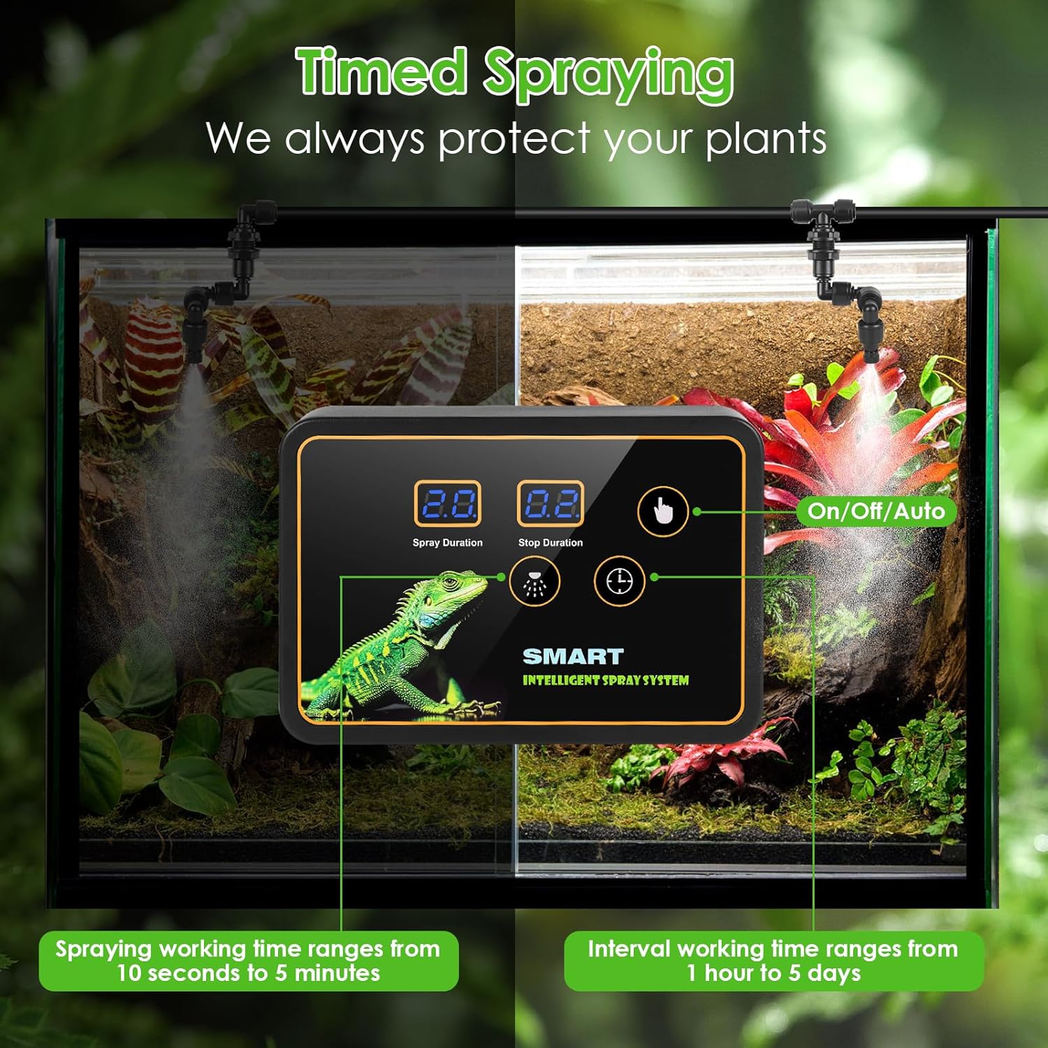 GuKKK Terrarium - Bild 2