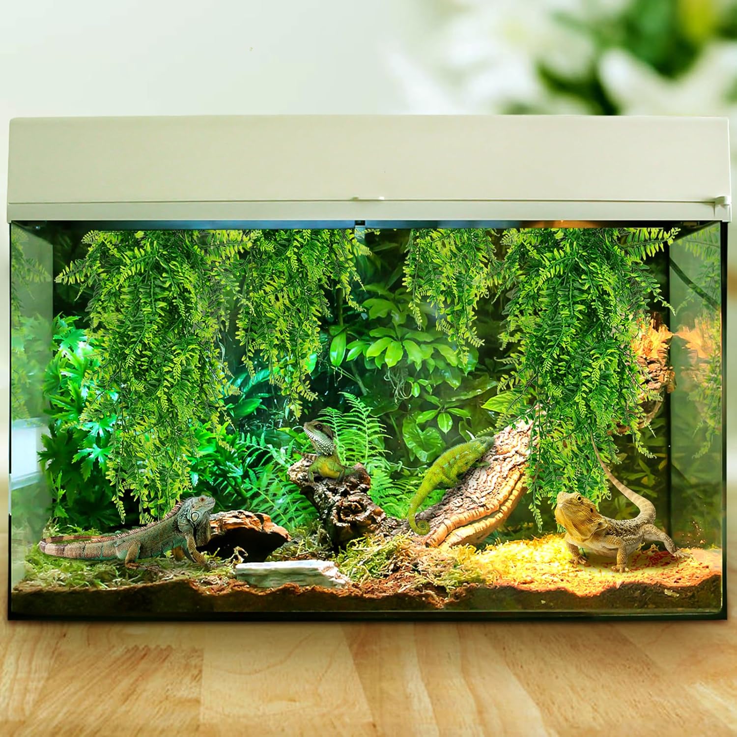 QUOZUO Hängepflanze Terrarium Zubehör - Bild 3