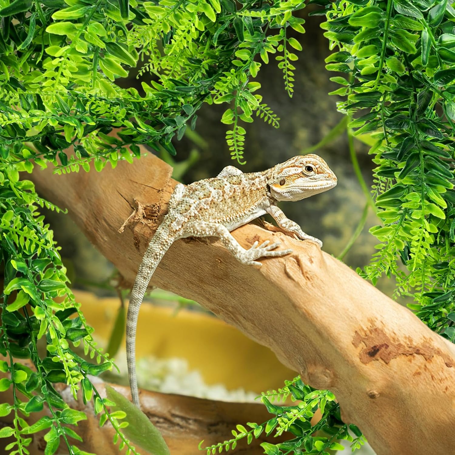 QUOZUO Hängepflanze Terrarium Zubehör - Bild 4