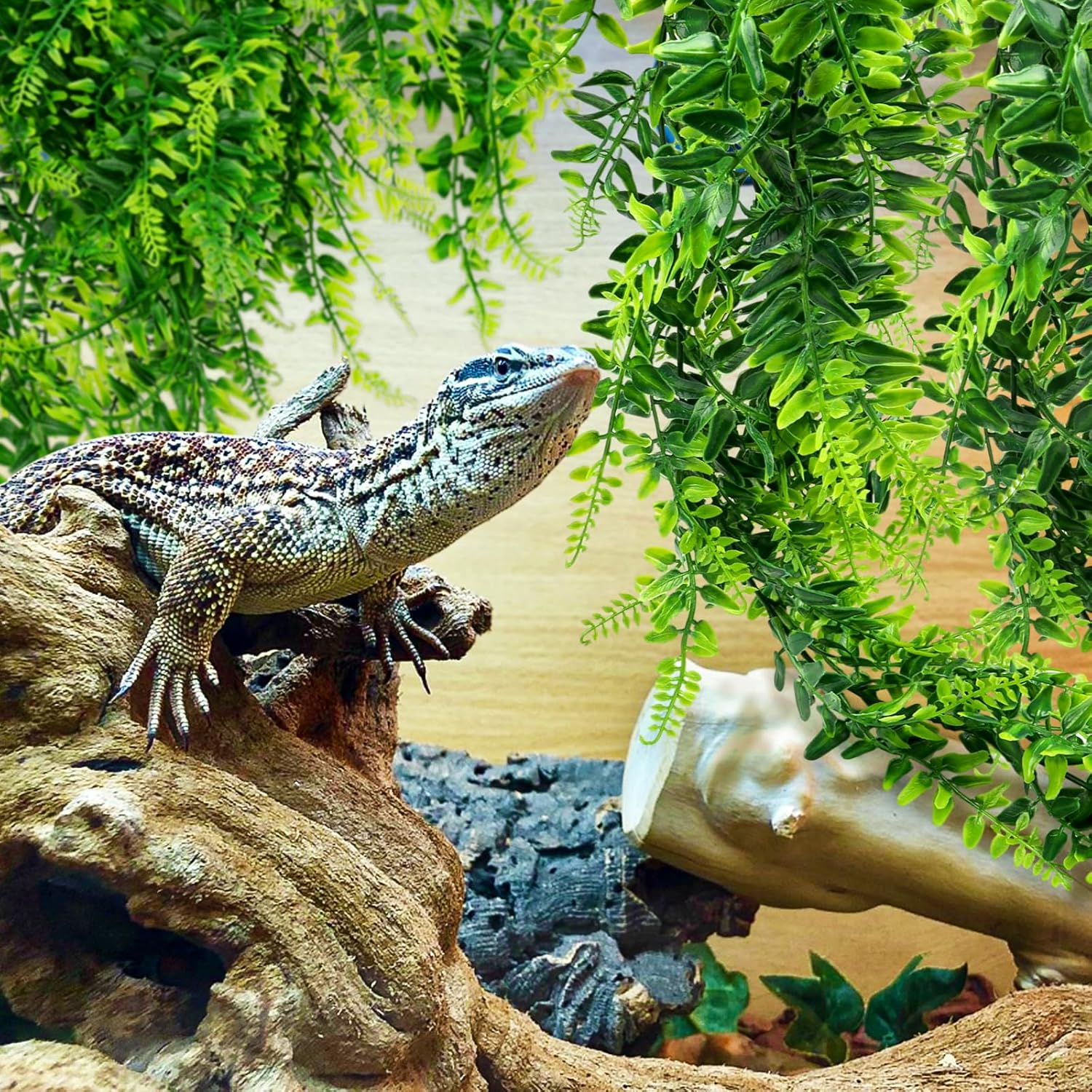 QUOZUO Hängepflanze Terrarium Zubehör - Bild 5