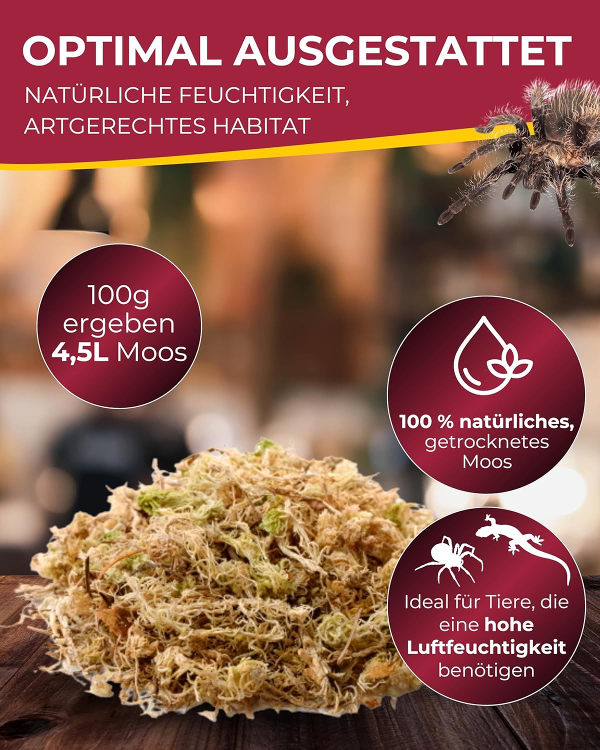 Hobby Terraristik Sphagnum Moss I 4 - Bild 2