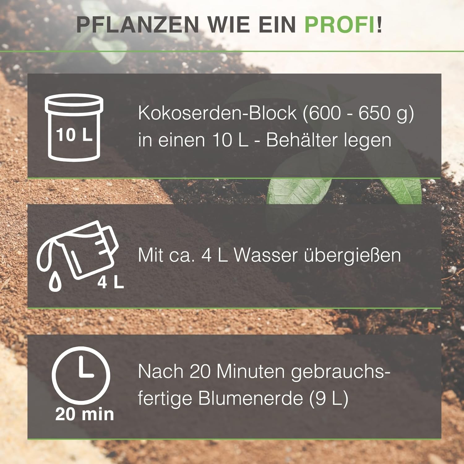 yayago Kokoserde Terrarium-Substrat - Bild 5