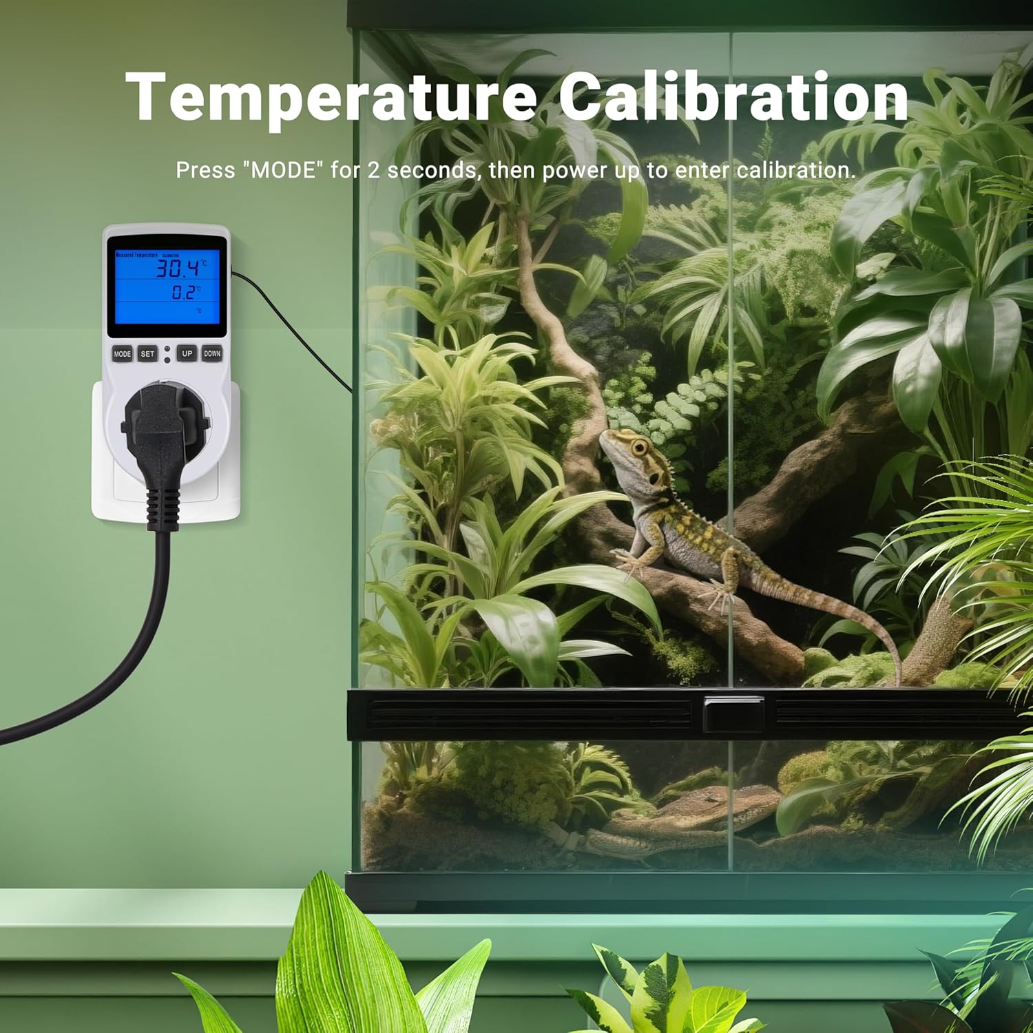 Inkbird Terrarium-Thermostat - Bild 3