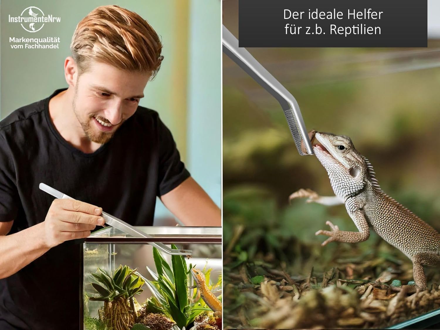 InstrumenteNrw Terrarium-Pinzette 30 cm gebogen - Bild 3
