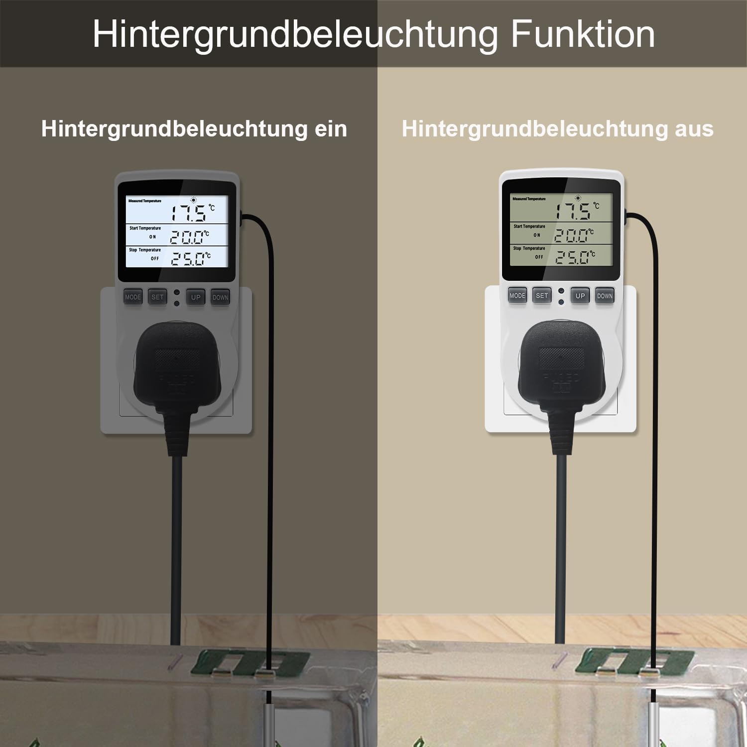 KETOTEK Terrarium-Thermostat - Bild 5