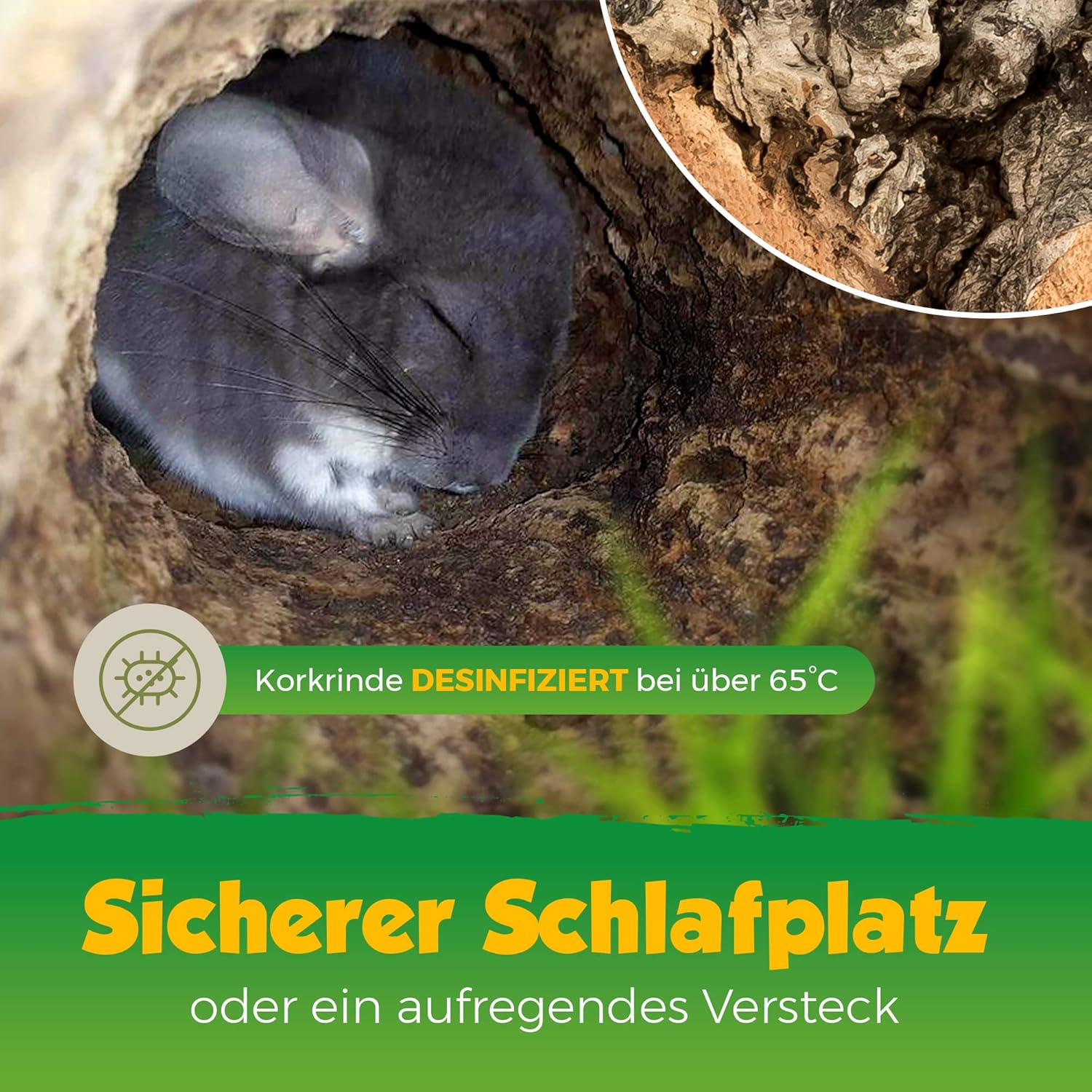 Kork-Deko Terrarium - Bild 2