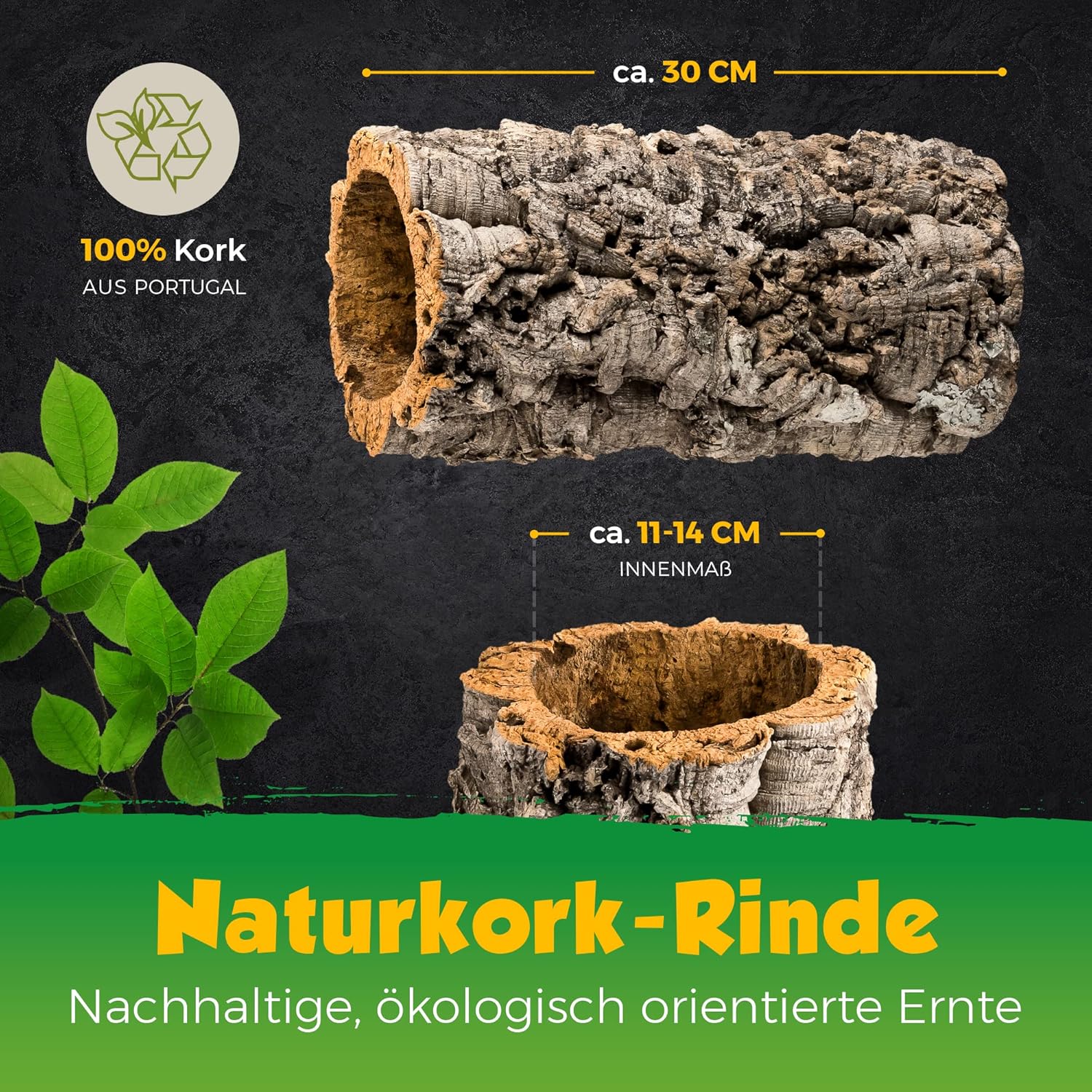 Kork-Deko Terrarium - Bild 5