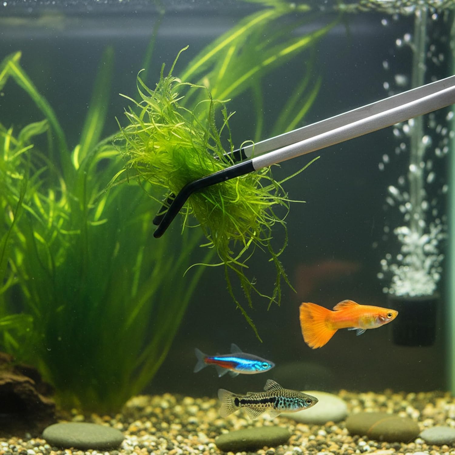 WJIAAA Terrarium-Pinzette Edelstahl Set - Bild 2