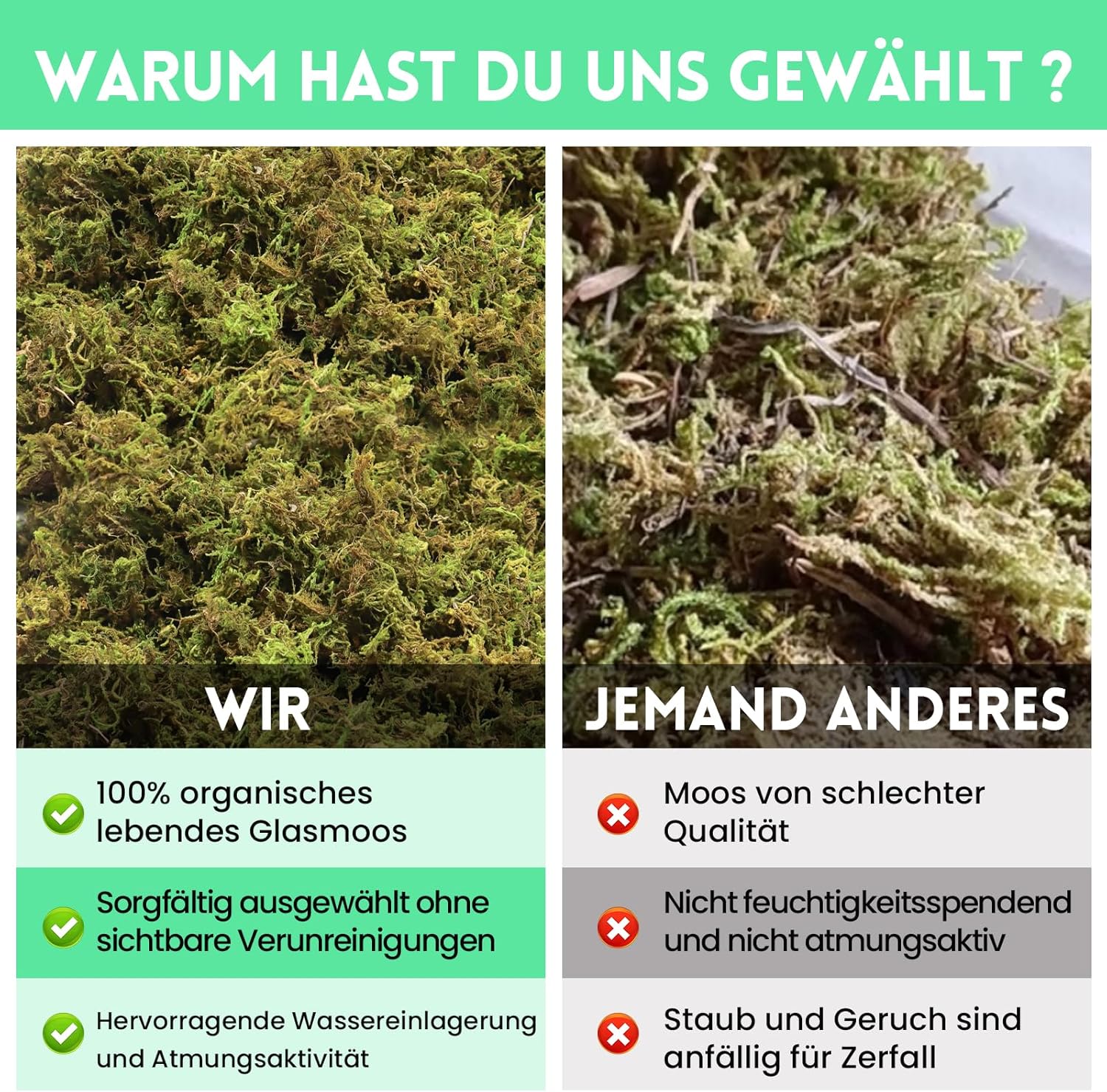 Riare Naturmoos Sphagnum für Reptilien 400 g - Bild 2