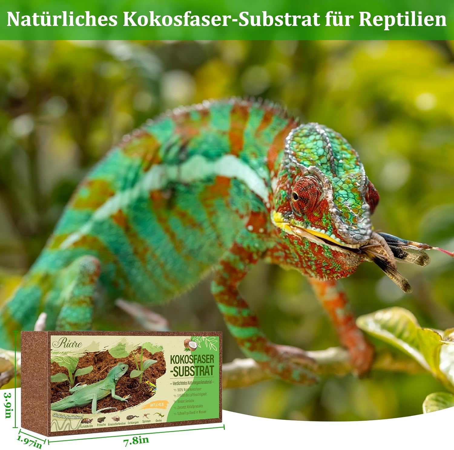 Riare Kokosfaser-Substrat für Reptilien - Bild 4