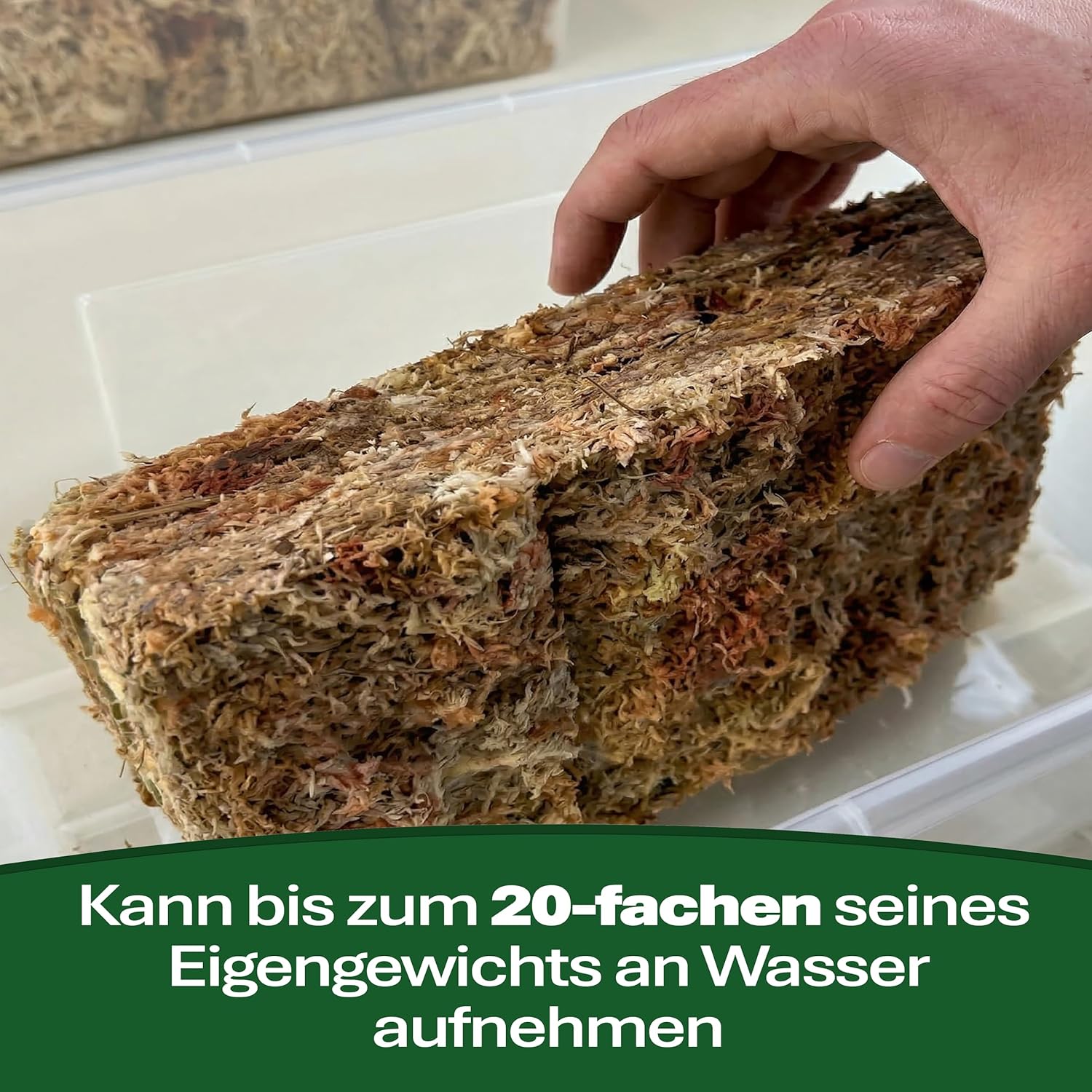sphagnum-shop.com Sphagnum Moosziegel für Terrarium und O... - Bild 4