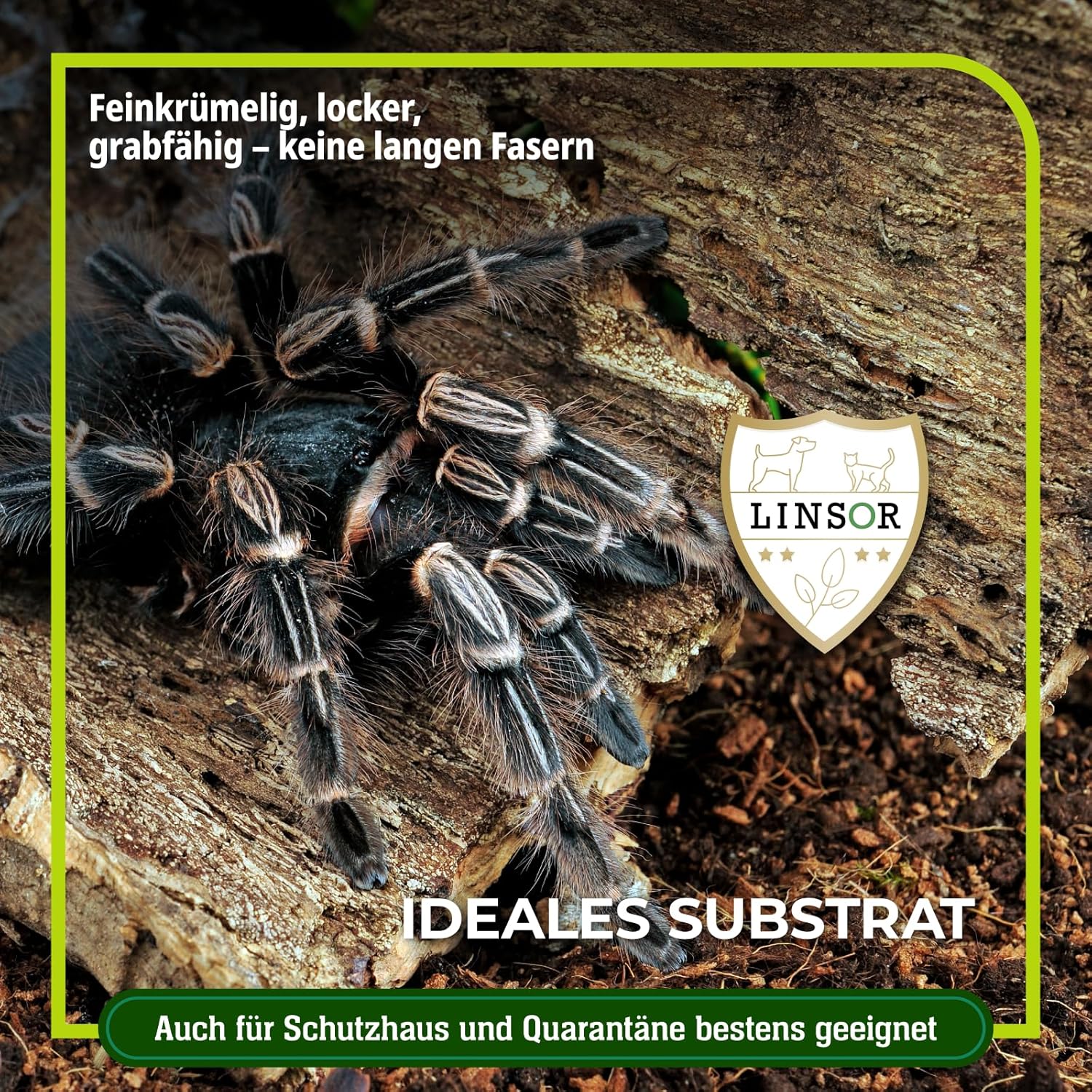 Linsor Terrarienerde 20 L Substrat - Bild 4