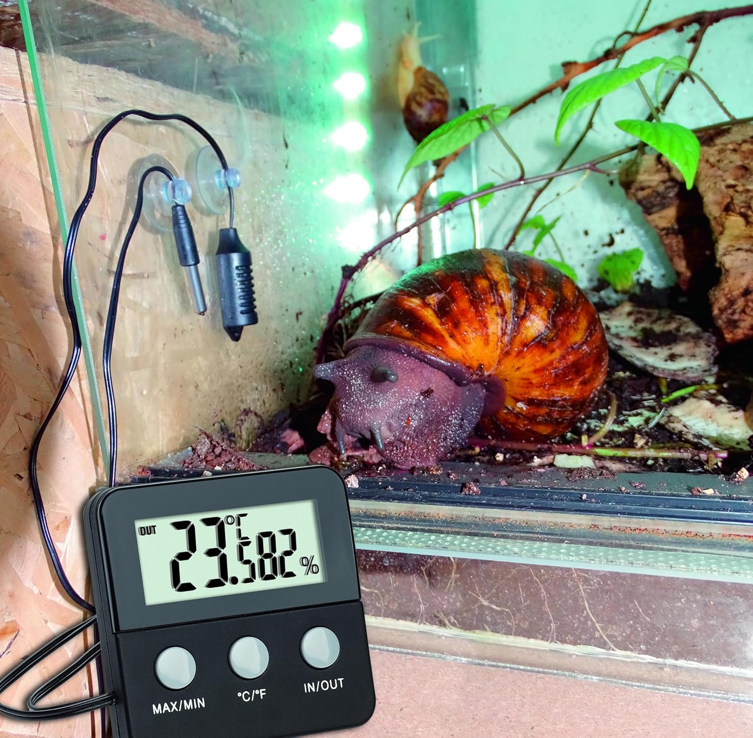 TFA Dostmann Digitales Thermo-Hygrometer Terrarium - Bild 2